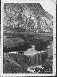 درنجیل انارک